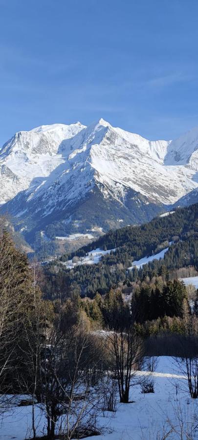 Appartement Ideal Ete Ou Hiver, Pour Skieurs Et Promeneurs, 4 Personnes แซ็งต์-แฌร์เวส์-เลส์-แบ็งส์ ภายนอก รูปภาพ